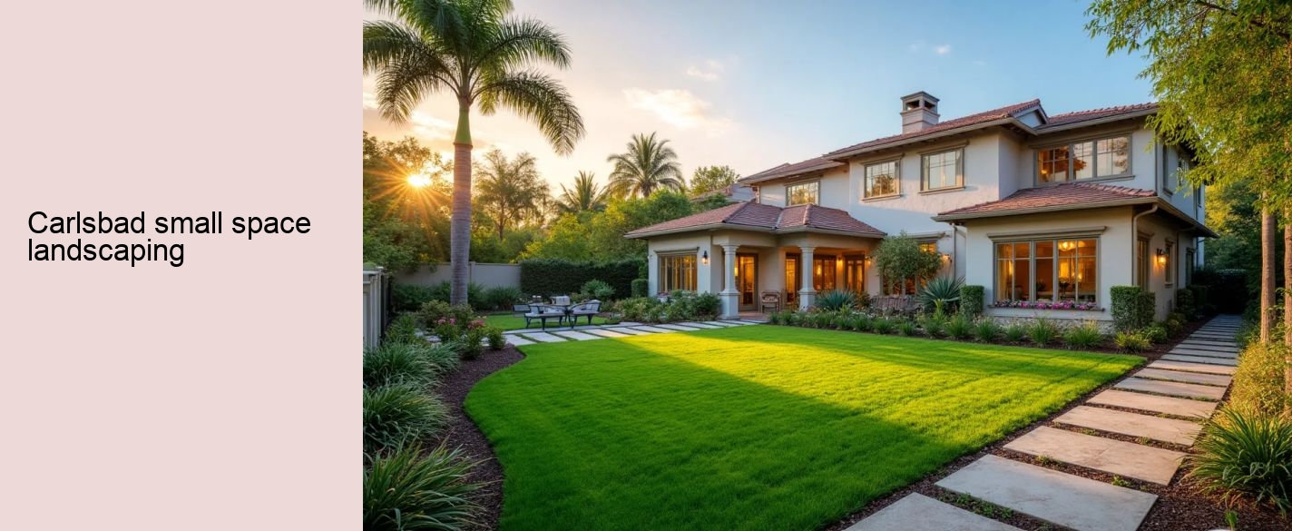 Carlsbad small space landscaping